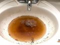 debouchage charleroi lavabo salle de bain bouche eau stagnante