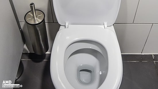 Nettoyage et désinfection de la toilette / W.C. - Entreprise Débouchage région de Charleroi Mons, Namur, Brabant Wallon, Liège